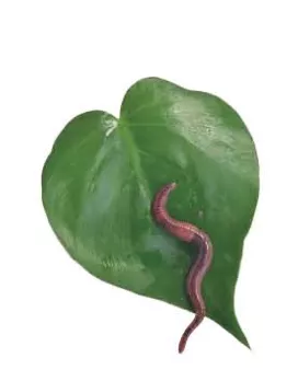 1768619445112879.png ABUIABAEGAAgjpHriQYo6I_Z6QMwkAI43AI.png